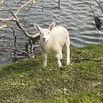 Ann McGuire - @annmcguire74 - Instagram