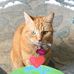 Ann Mcguire - Facebook