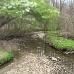 Ann McGuire - @anntmcguire - Instagram