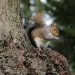 Ann McGuire - @ann_53_photography - Instagram