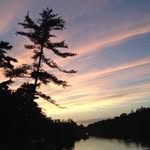 Ann McGuire - @mcguire9996 - Instagram