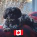 Anne McGuire - Facebook
