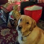 Ann McKeever - @mckeever.ann - Instagram