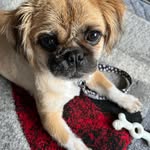 Ann McKenzie - @ann.mckenzie.370 - Instagram