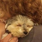 Ann McLeod - @annanm238 - Instagram