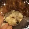 annmcleod371 - @annmcleod371 - TikTok