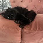 Ann Mcmahan - @mcmahan4381 - Instagram