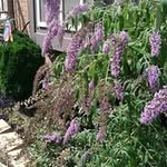 Ann McNeil - @annmcneil1937 - Instagram