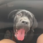 Darla Ann McRae - @darla_speaks - Instagram