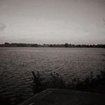 Patricia Ann Mcsweeney - @mcsweeney.patricia - Instagram