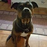 Ann Mehler - @mehlerann - Instagram