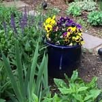 Ann Merrick - @anniem1122 - Instagram