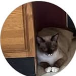 Ann Merrick Moreland - @moreeland.ann - Instagram