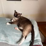 Ann Merrick Moreland - @moreland.ann - Instagram