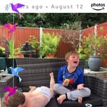 Marilyn Ann Merrick - @marilynmerrick - Instagram