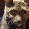 Ann Meyer670 - @annmeyer670 - TikTok