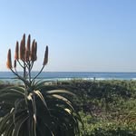 ann meyer - @meyer_ann - Instagram