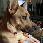 Samantha Ann Mims - @samantha.mims - Instagram