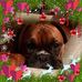 Ann Minton - Facebook