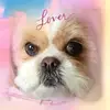 Ann Mintz Doige - @mollythewonderdog - TikTok