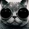 annamintz0 - @annamintz0 - TikTok
