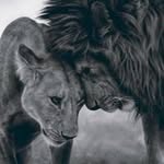 Ann Mö - @annmoe1959 - Instagram