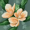 Ann Moeller - @ann.moeller - TikTok