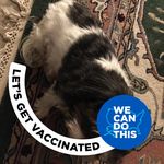 Ann Monaghan - @ann.monaghan.7906 - Instagram