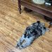 Ann Montgomery - Facebook