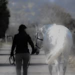 Ann Montgomery - @annmontgomery_themindfulrider - Instagram