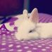 Ann Moore - Facebook