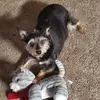 Ann Moore - @ann.moore74 - TikTok