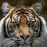 Ann Moser - @moseraem - Instagram