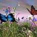 Ann Moser - Facebook