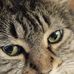 Ann Mosier - Facebook