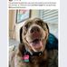 Ann Moss - Facebook