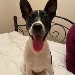 Ann Moss - @quorasquest - Instagram