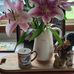Ann Moss - Facebook