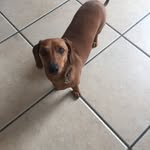 Ann Muller - @fredrick.muller.3532 - Instagram