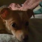 Carol Ann Myrick-Rose - @myrickrose - Instagram