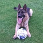 Ann Nagle - @amnagle2002 - Instagram