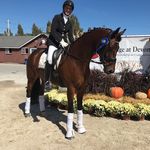 Ann Nagle - @ann.nagle.758 - Instagram