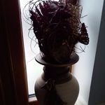 Ann Nagle - @ann.nagle.397 - Instagram