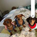 Teresa Ann Naquin - @kylieannmichelledarnell - Instagram