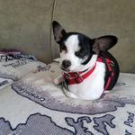 Ann Nason - @annienay48 - Instagram