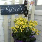 Ann Nation - @anmanat - Instagram