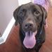 Ann Nault - Facebook