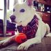 Anna Naumann - Facebook