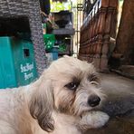 Ann Navarra - Facebook