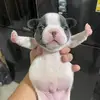 Ziann Navarra - @ziannnavarra - TikTok